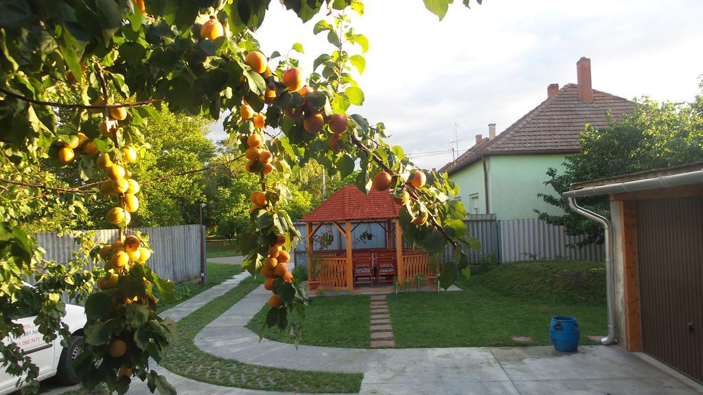 Tiszavirag Apartmanhaz Apartment Szeged